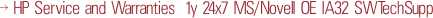HP Service and Warranties 1y 24x7 MS/Novell OE IA32 SWTechSupp